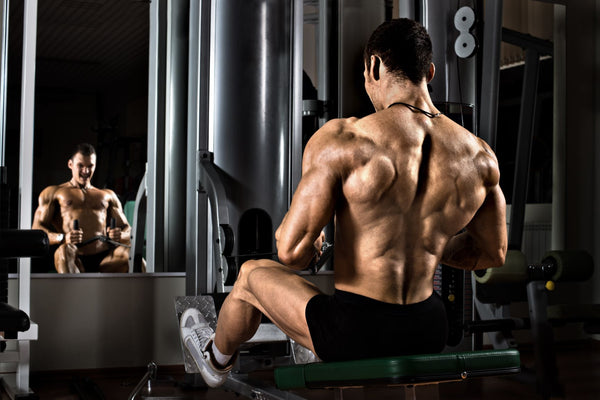 Big back workout for mass new arrivals