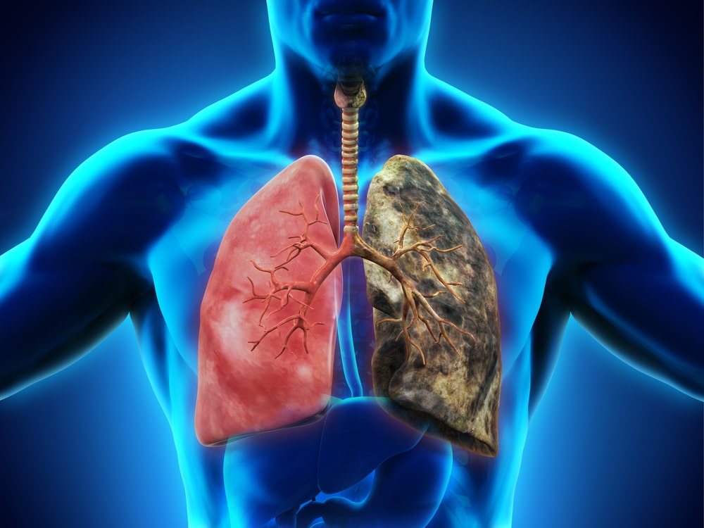 Lung Function and Longevity: Is There A Correlation?