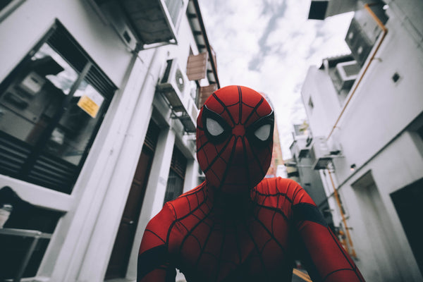 Men's Marvel Spider-Man: No Way Home Web Hero Pull Over Hoodie