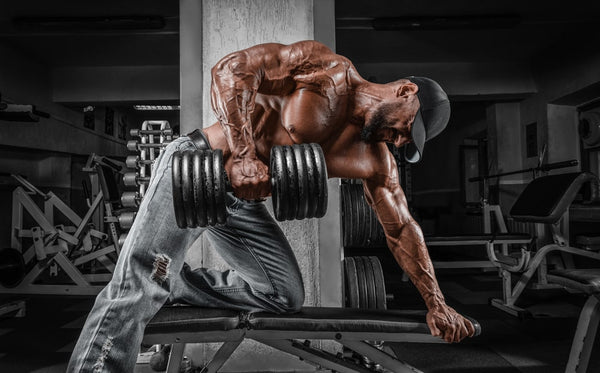 10 Best Back Workout Exercises for Strength - Steel Supplements