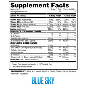 Steel Supplements Supplement PRE
