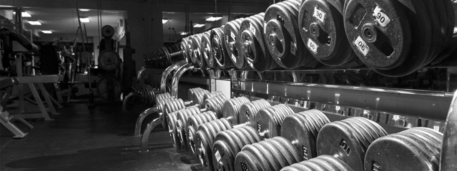 5 Daily Things You Can Do To Put On Muscle Mass