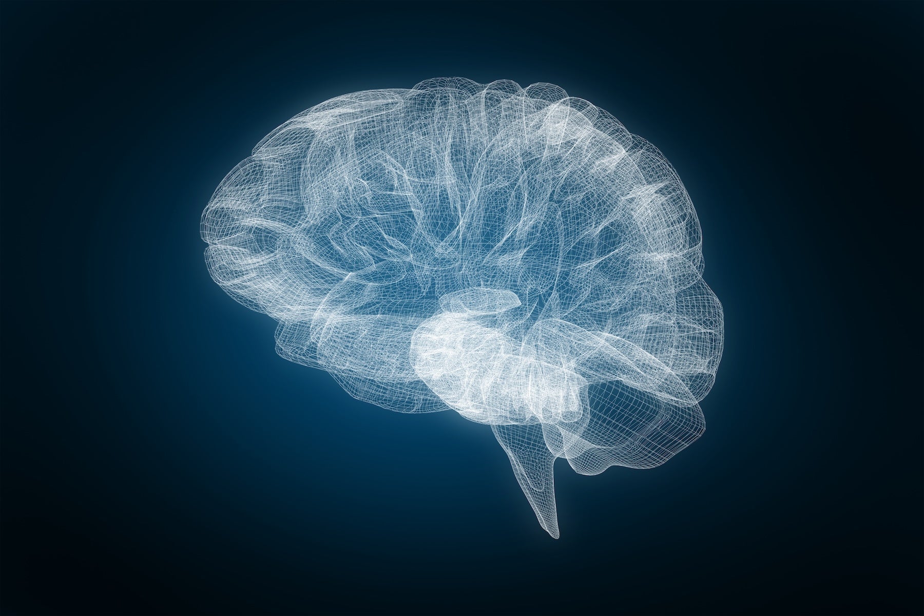 Your Brain Is More Adaptable Than We Once Thought