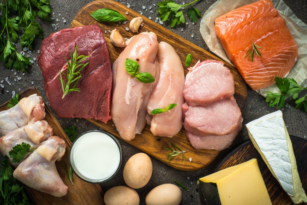 What’s The Best Animal-Based Protein Source for Gaining Muscle & Losing Fat?