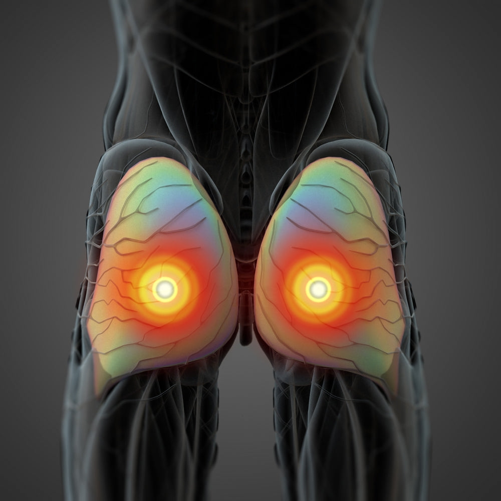 How to Do Cable Pull-Throughs (Form & Muscles Worked)