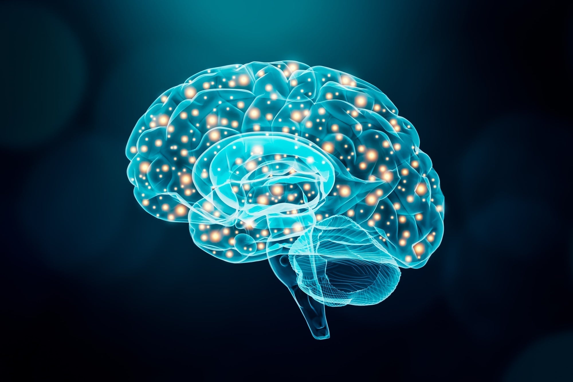 Creatine and Brain Health