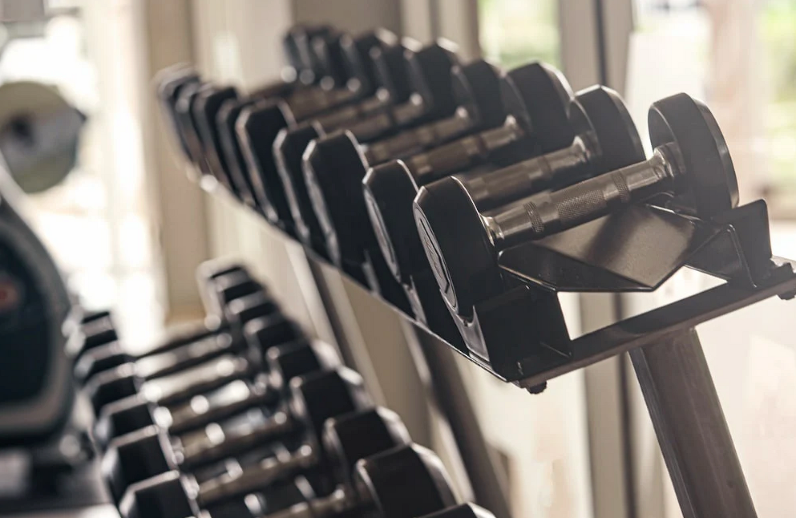 Dumbbell - Concurrent Training - June 2025