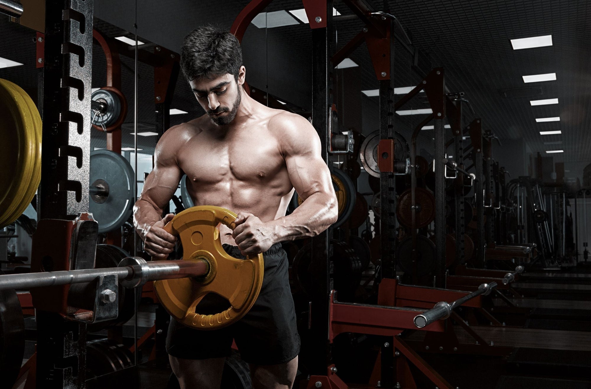 Feeder Workouts: Do Feeder Workouts Work?