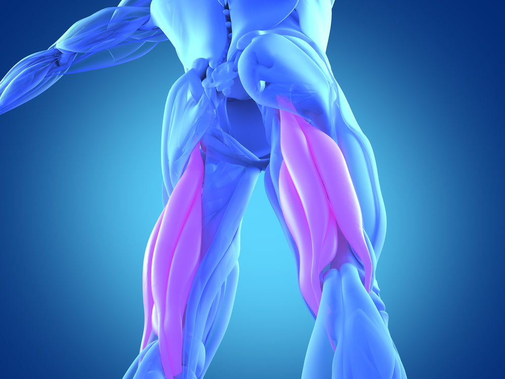 7 GHD Machine Exercises for Glutes, Hamstrings & Back