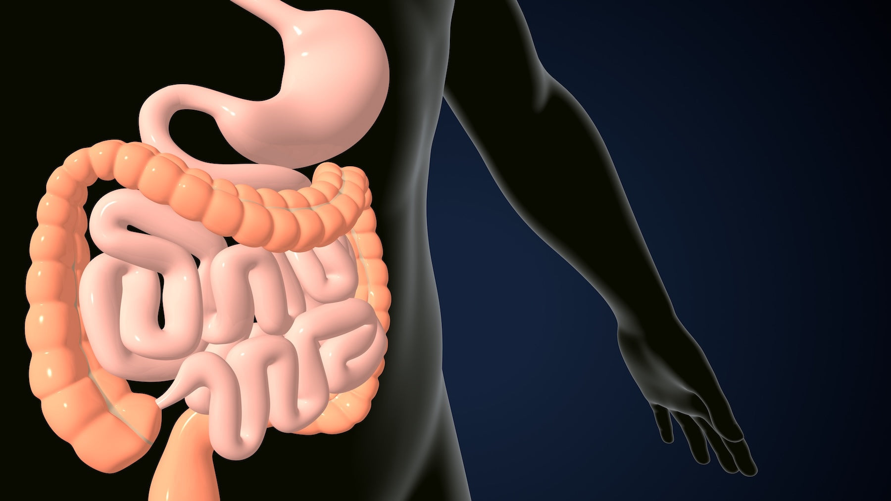 Gut Bacteria, Alzheimer’s Disease, and a New Type of X-Ray