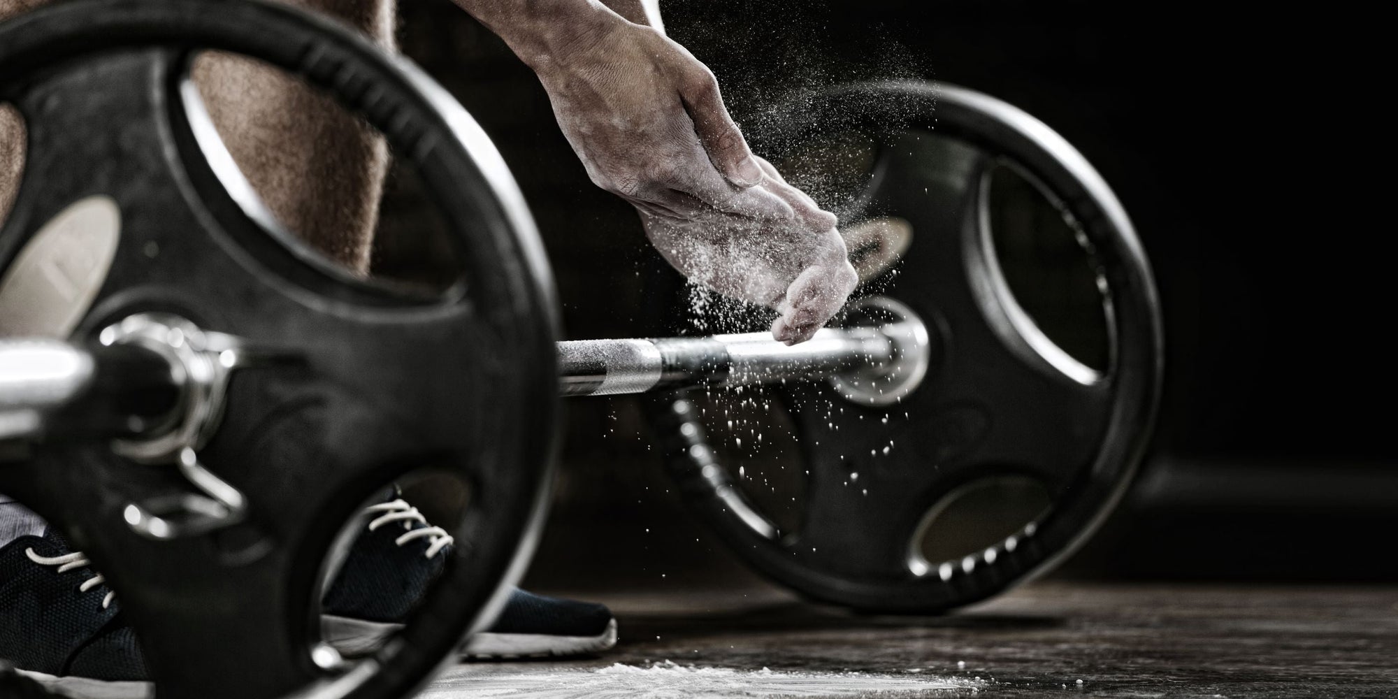 The Ivysaur 4-4-8 Workout Program (3-Day Powerlifting)