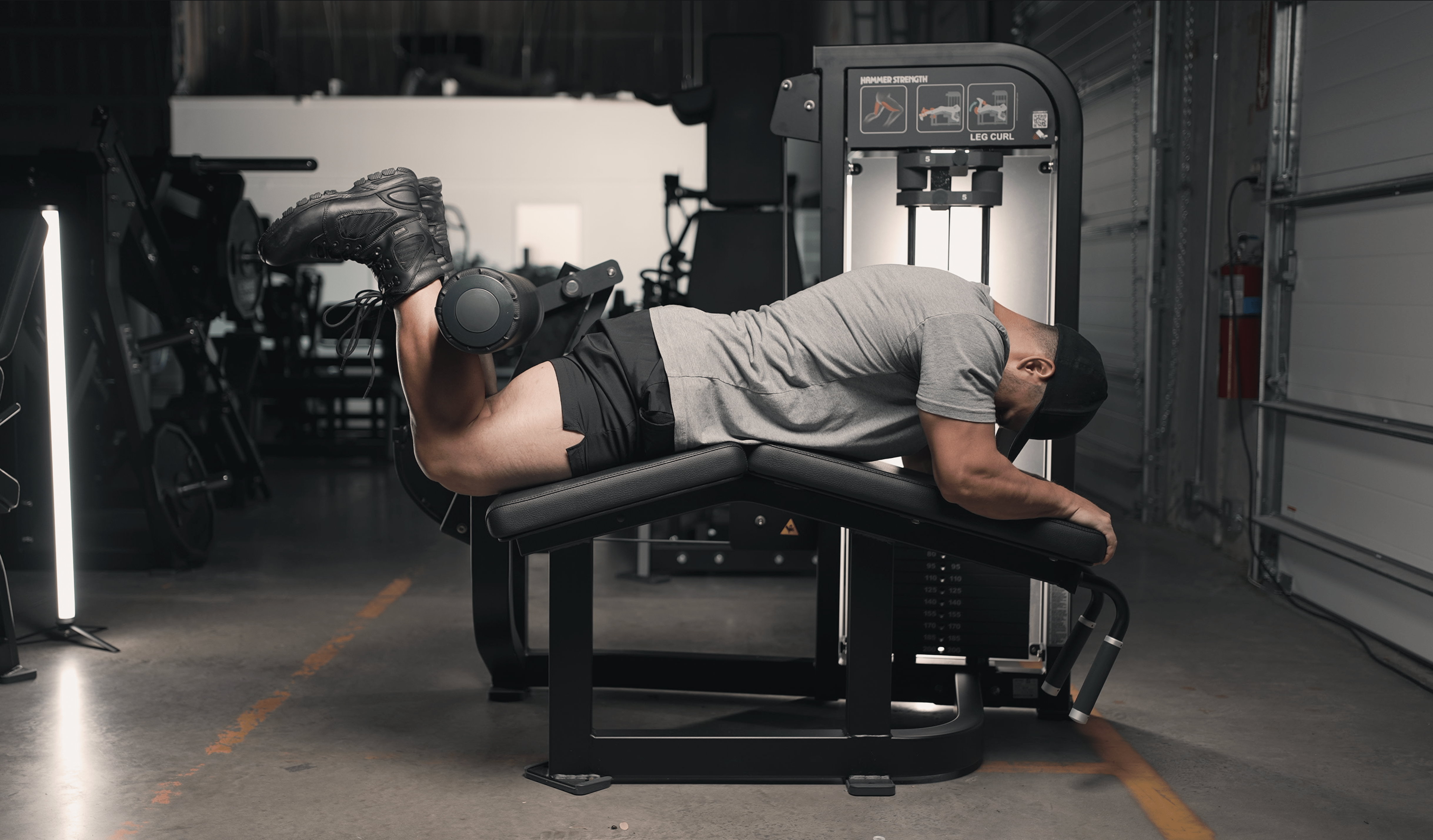 Leg curl machine muscles worked hotsell