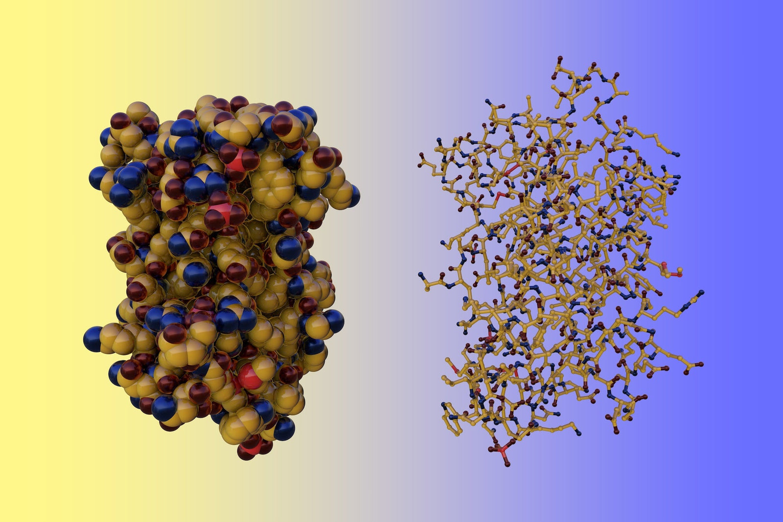 IL-6 and myokines 668abac7-dcac-4008-bdc9-5ecc4ef1ea8c
