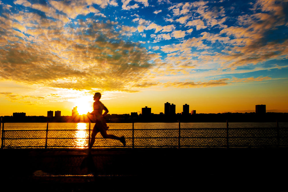 Best Gyms in Jersey City NJ: Top Fitness Centers to Join Now