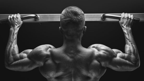 How to Do Lat Pushdowns (Form & Benefits) - Steel Supplements