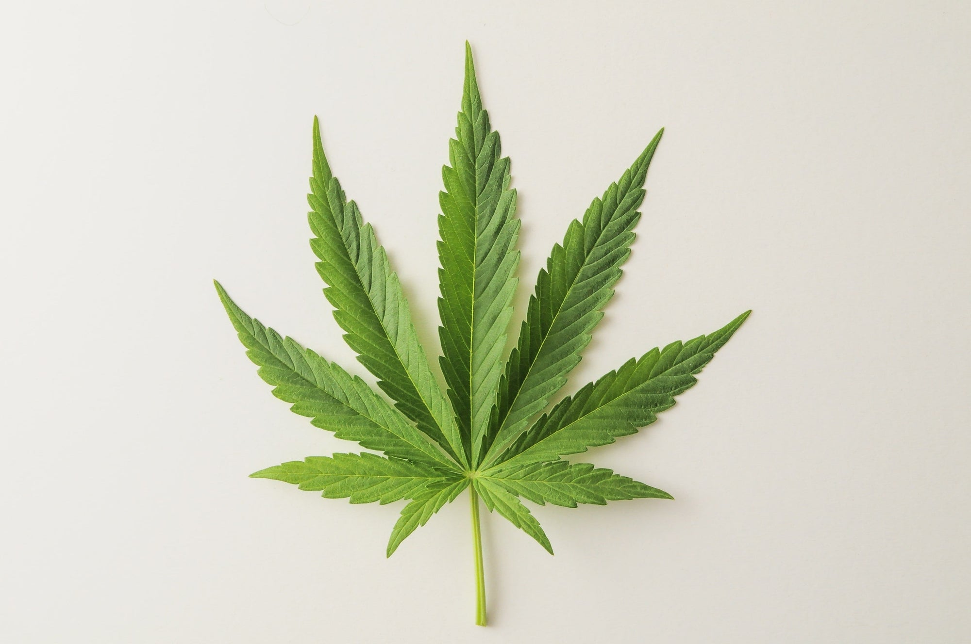 Marijuana’s Effects on Athletic Performance, Hormones, Inflammation & Cardiovascular System