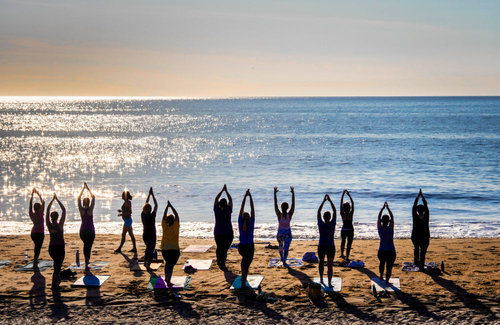 10 Best Gyms in and Around Miami Beach