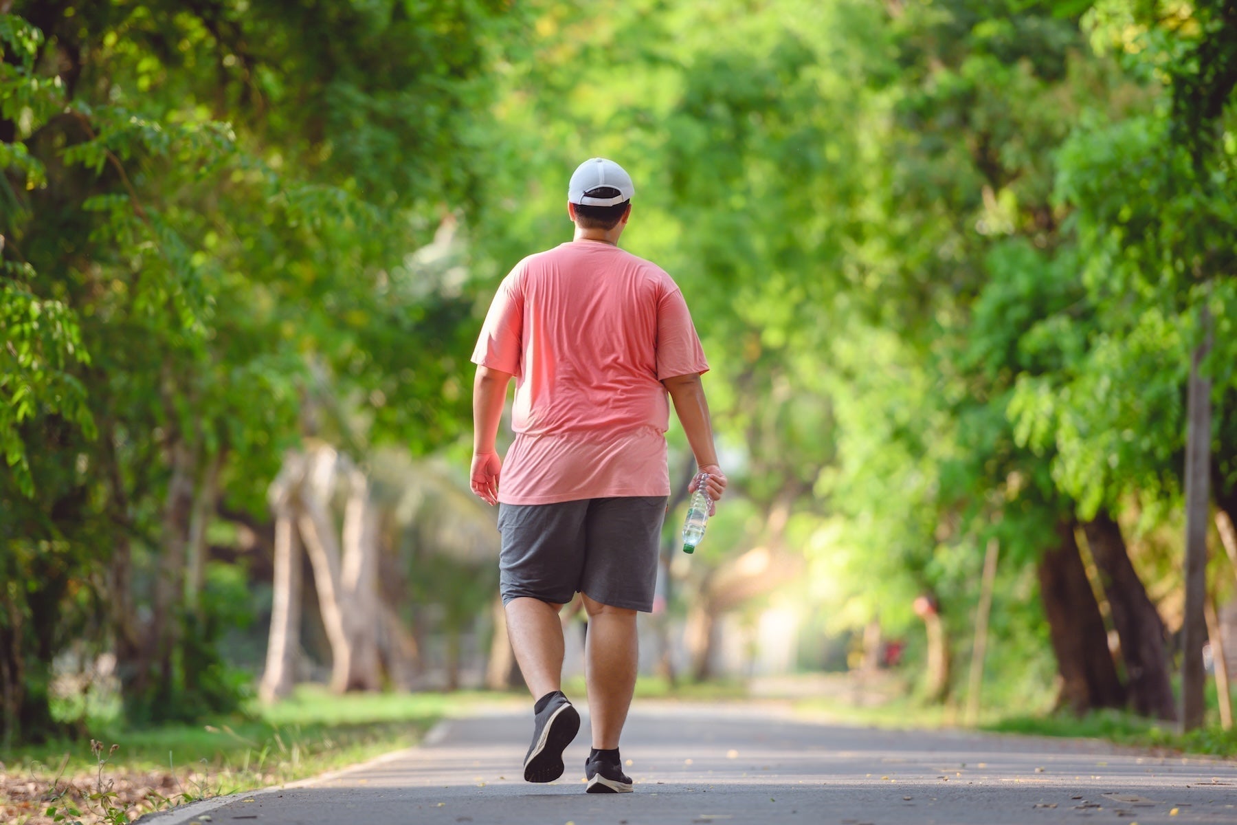 How Obesity May Affect the Brain Over Time