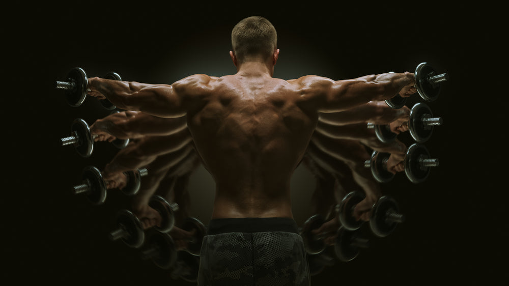 What are the 3 Planes of Motion & Why Should You Care?