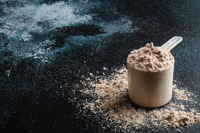 How Much Protein Do You Really Need to Build Muscle? - Steel Supplements