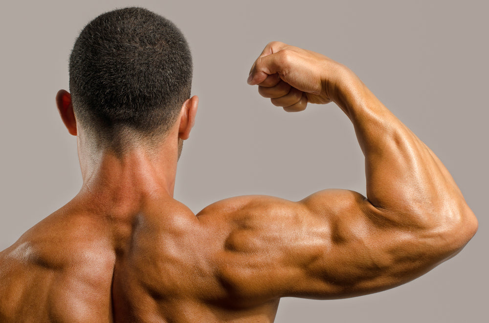 How to Do Resistance Band Pushdowns (Form & Muscles Worked)