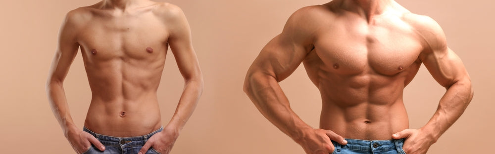 Genetic Factors Influencing Hypertrophy: Tailoring Training to Individual Potential