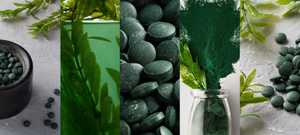 Health Benefits of Spirulina