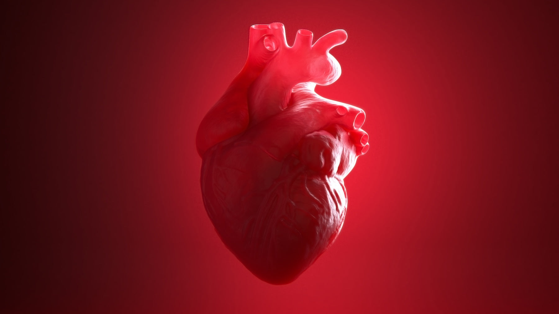A Hidden Protective Layer in Your Blood Vessels May Predict Heart Disease