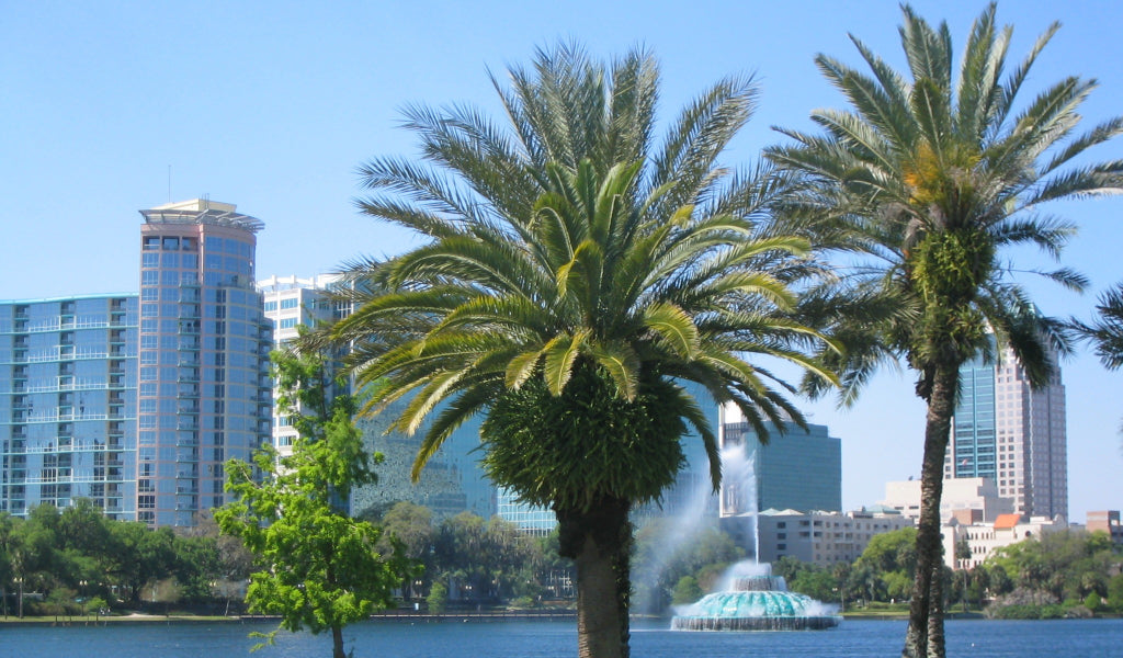 10 Best Gyms in Orlando, Florida