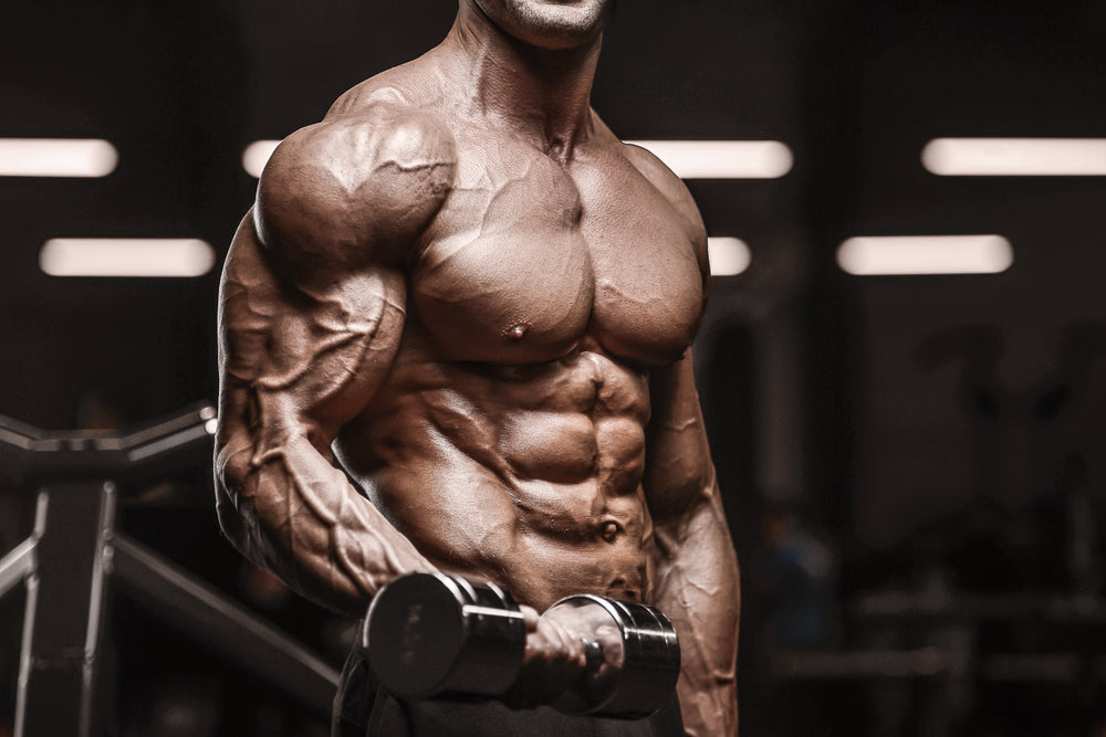 Seth Feroce's Real Workout Routine & Diet Plan