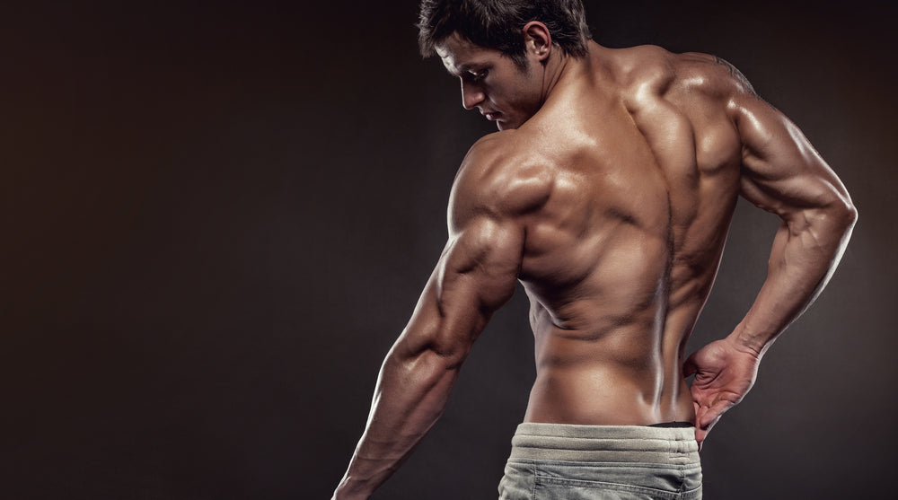 How to: Standing Barbell Tricep Extension (Form & Benefits)