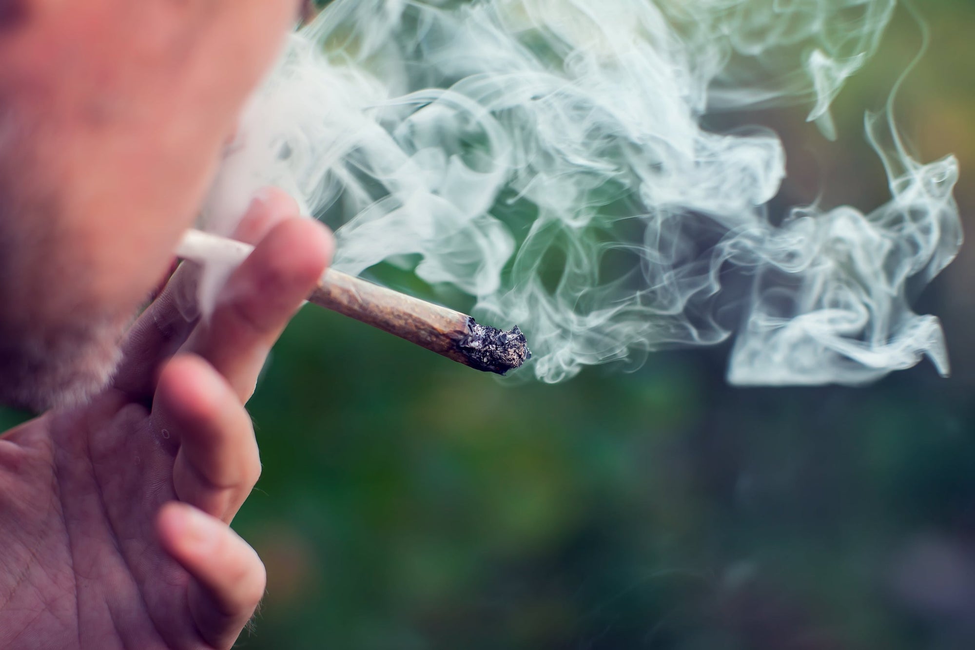 How Cannabis Use Affects Your Brain After 40