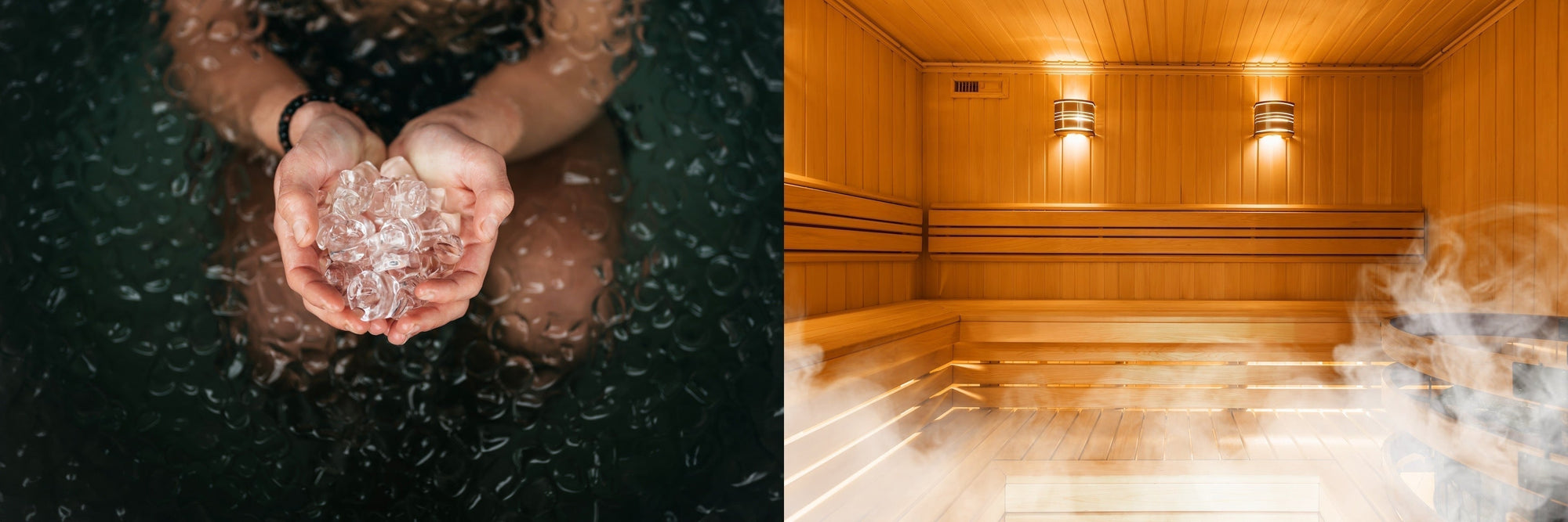 Cold Plunge vs Sauna: The Ultimate Recovery Cheat Sheet for Size, Strength, and Growth