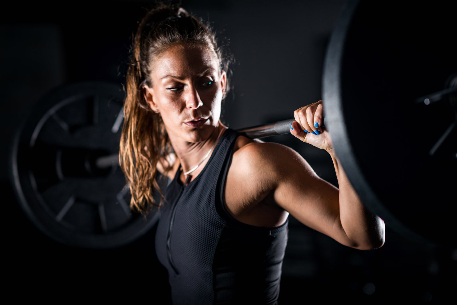 estrogen and muscle-header