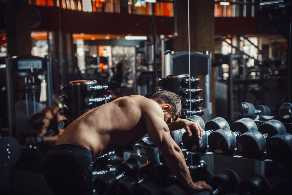 The Relationship Between Gut Microbiome & Exercise