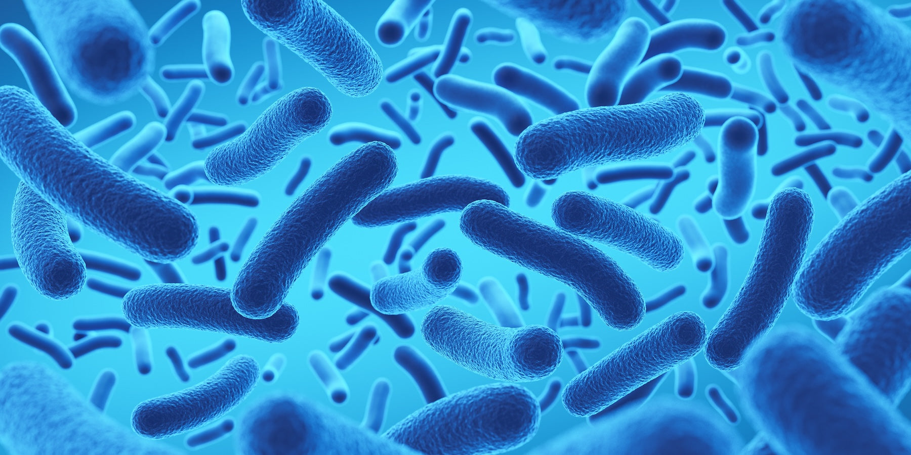 The Gut Bacteria That Could Change Your Health (And You’ve Probably Never Heard of It)