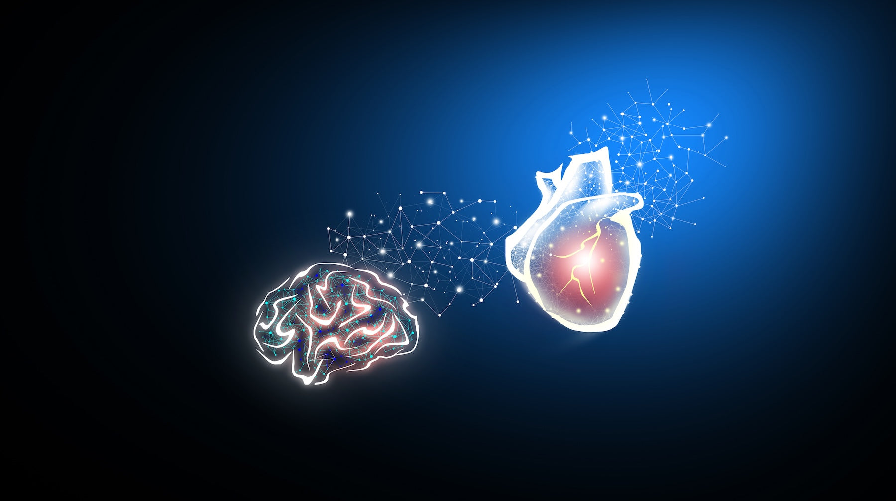 The Heart–Brain Connection: Why It Matters & How Coffee Plays a Role
