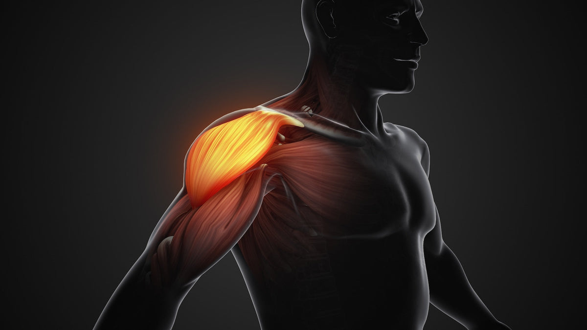 How to Do Leaning Lateral Raises (Forms and Benefits) - Steel Supplements