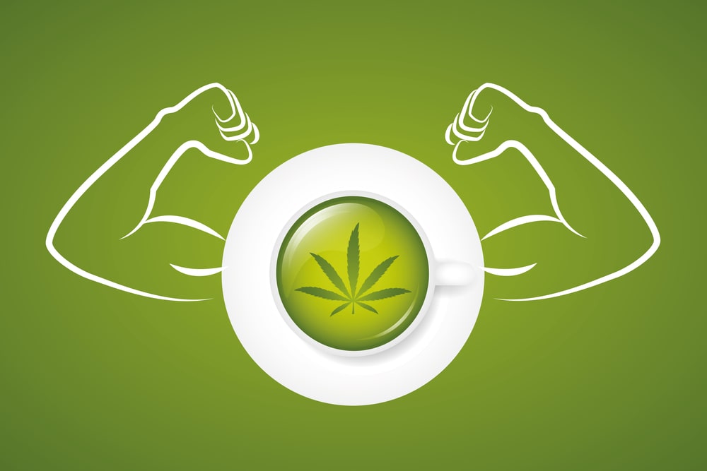 Marijuana & Bodybuilding: How Weed Impacts Your Gym Results