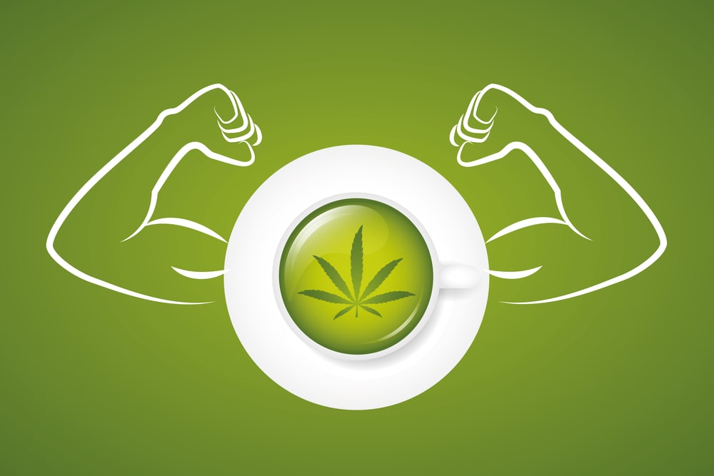 marijuana and bodybuilding 3-min 8c0c8808-48b0-479e-a2f2-209ac04ba68b