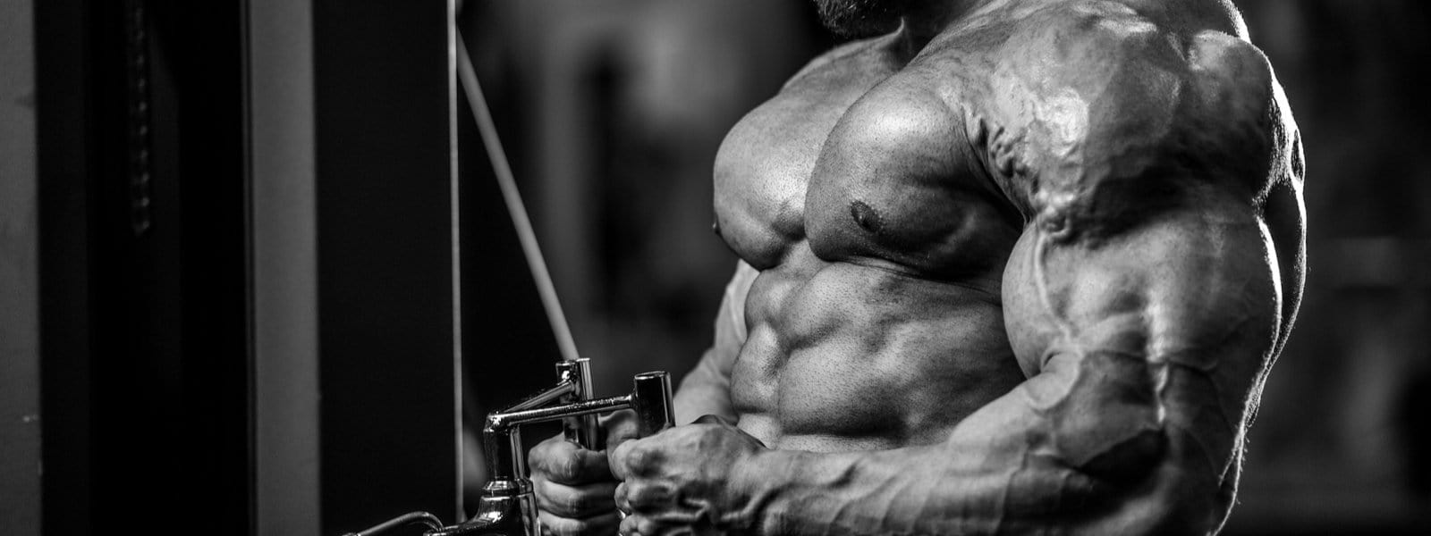 The Best Muscle Building Ingredient Known To Man…and It’s Free