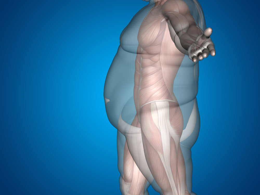Obesity and Risk For COVID-19: What You Need To Know