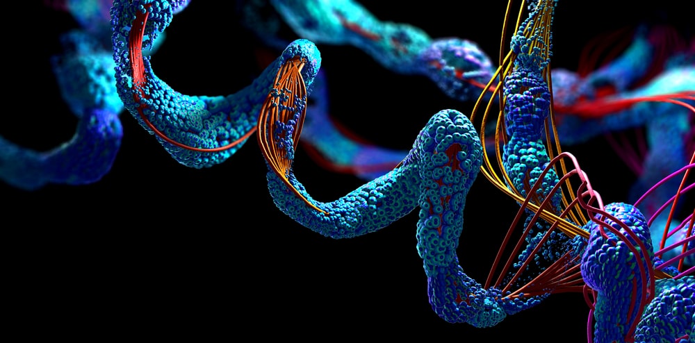 Can BPC-157 Accelerate Soft Tissue Healing?