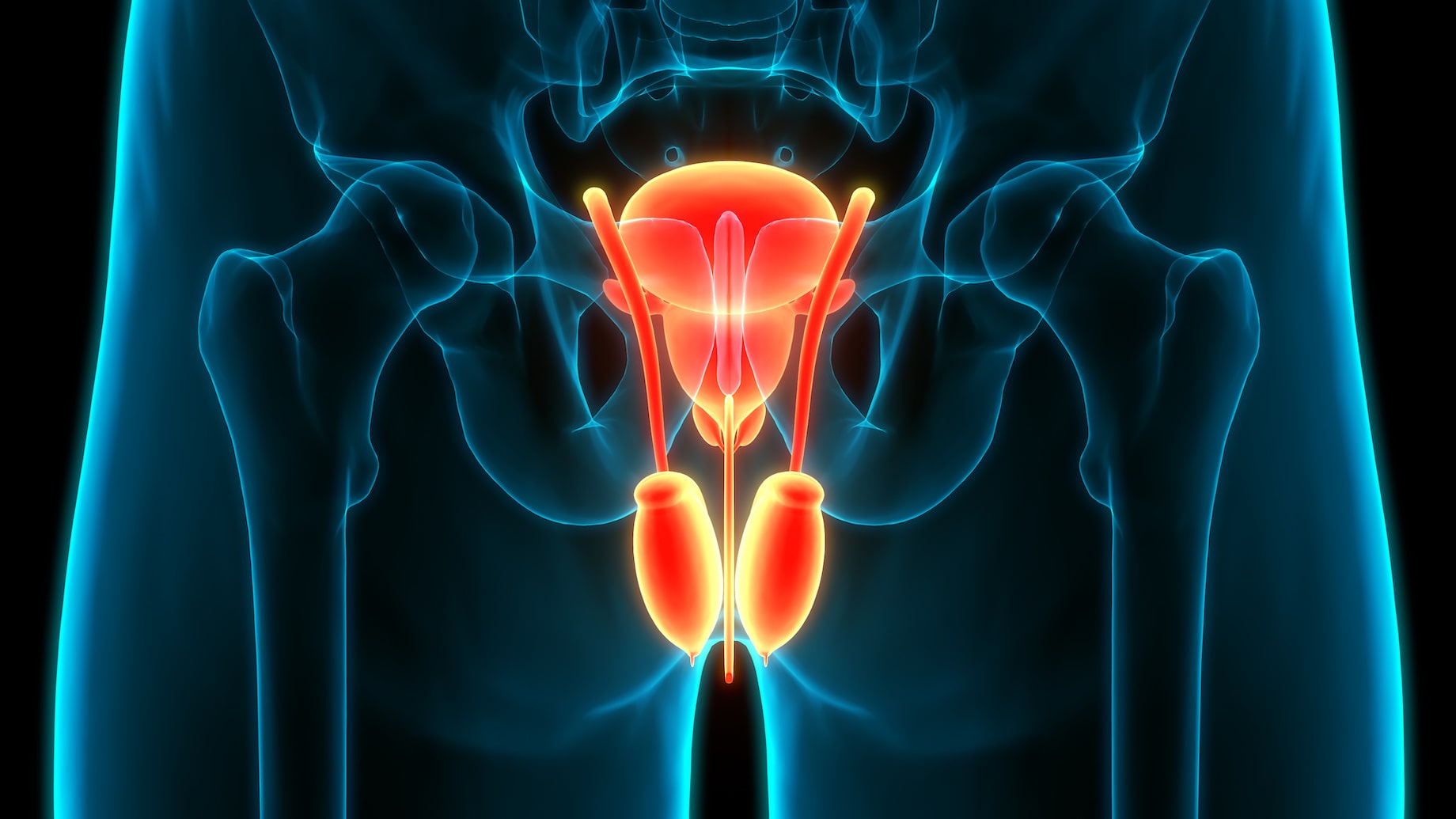 Does Ejaculation Frequency Influence Prostate Cancer Risk?