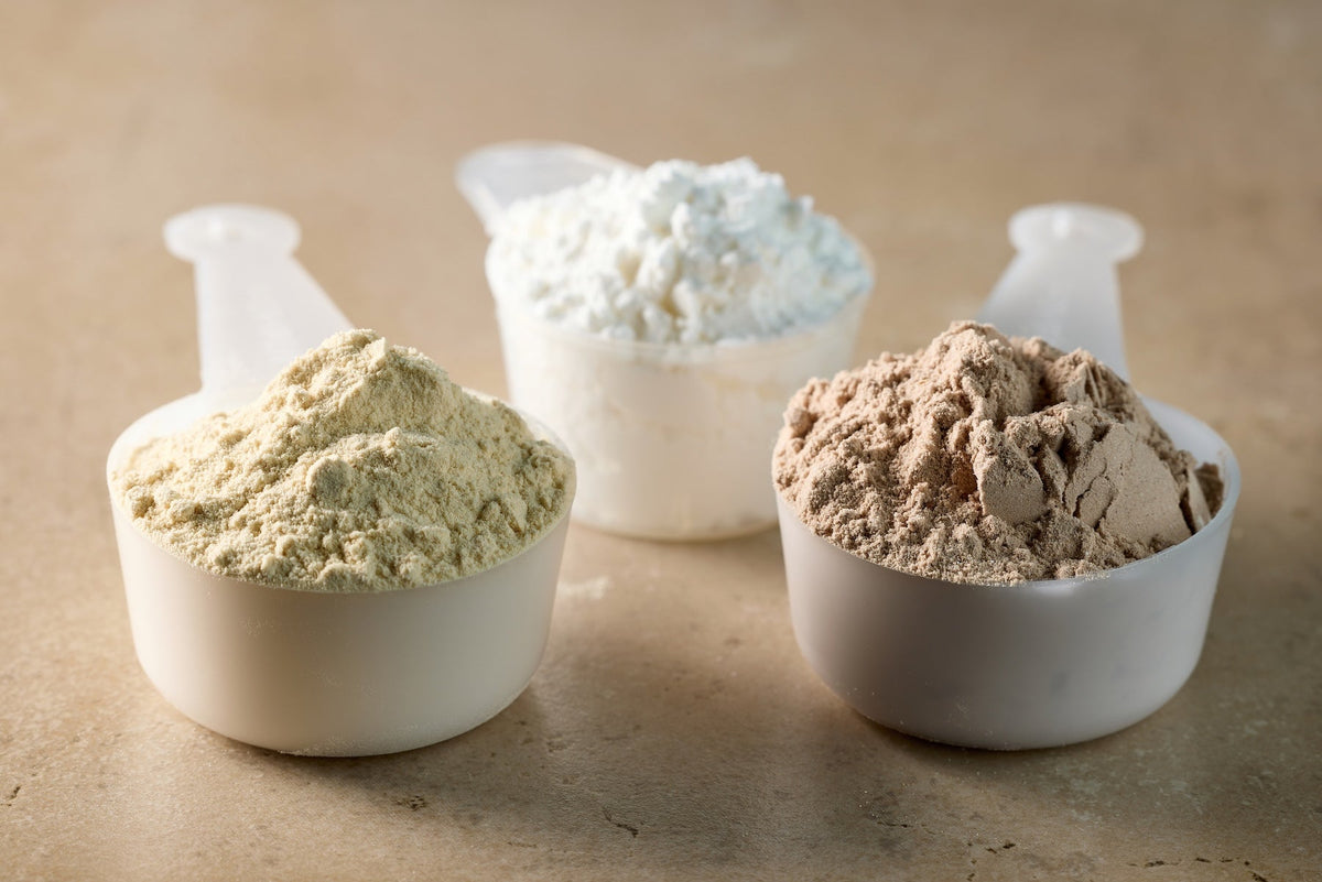 Is There A Difference Between Plant Protein Blend vs. Whey for Muscle Recovery?