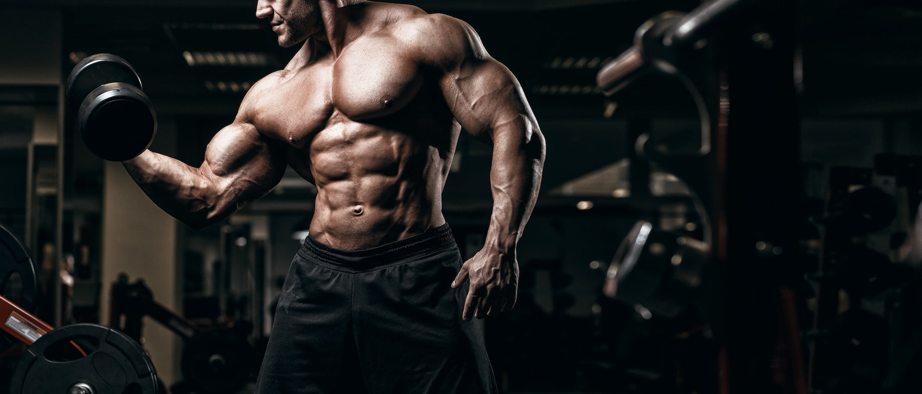 How Resistance Training Enhances the Powerhouse of the Cell