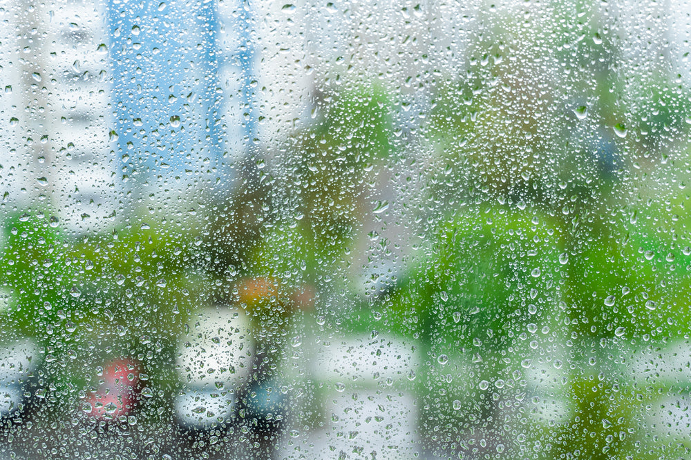 Why Do People Get Seasonal Depression in Spring?