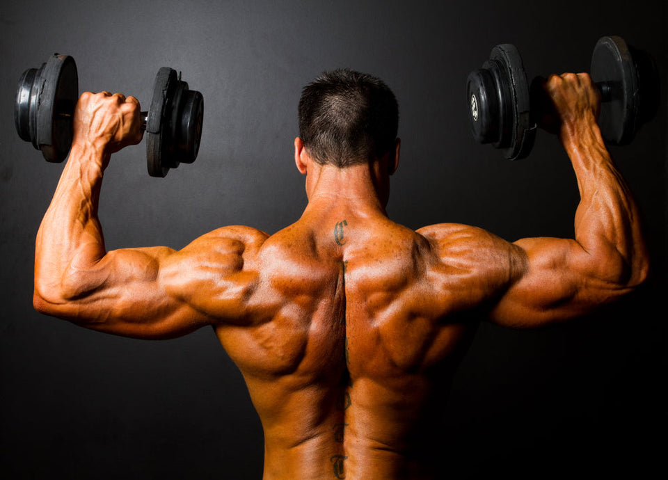 How to Get Broader Shoulders (10 Best Exercises) - Steel Supplements