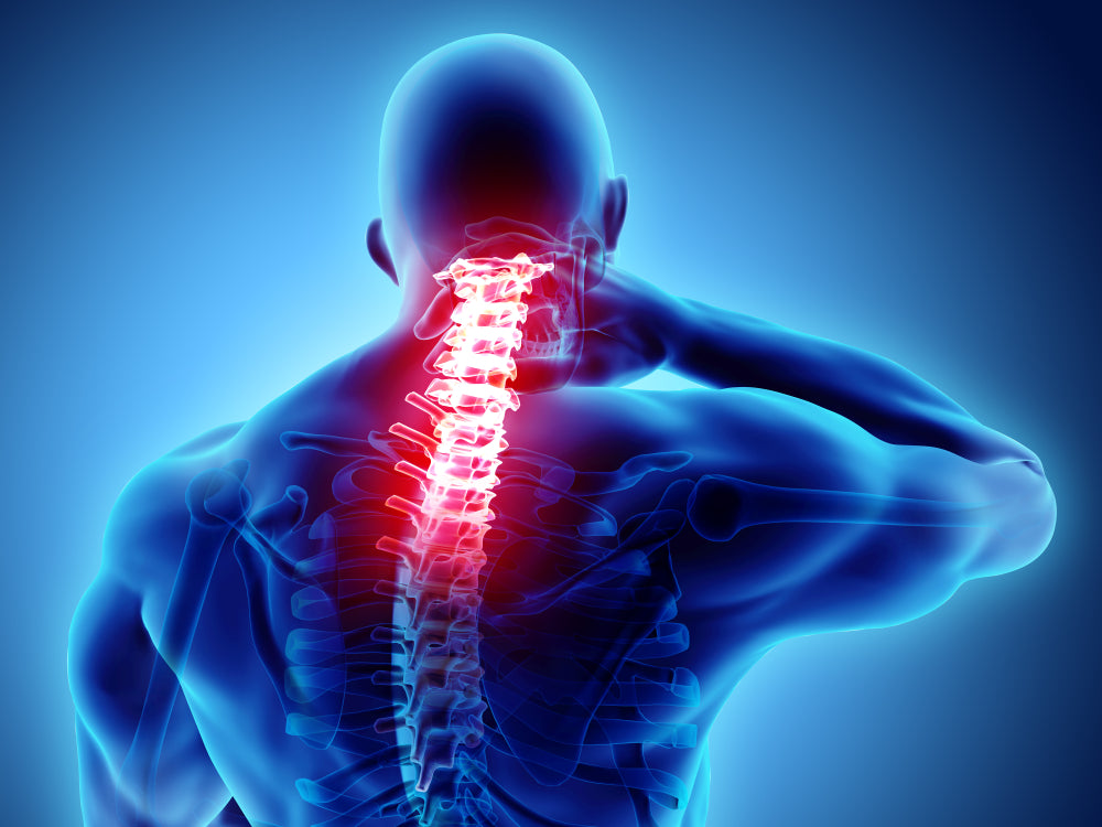 3D illustration, neck painful - cervical spine skeleton 