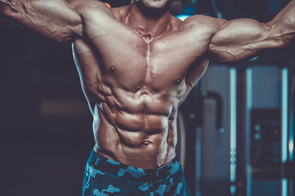 fit muscular man training in the gym 